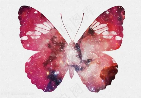 蝴蝶动物剪影高清 蝴蝶动物剪影高清