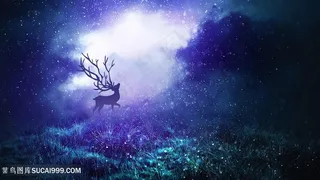 森林迷雾与麋鹿