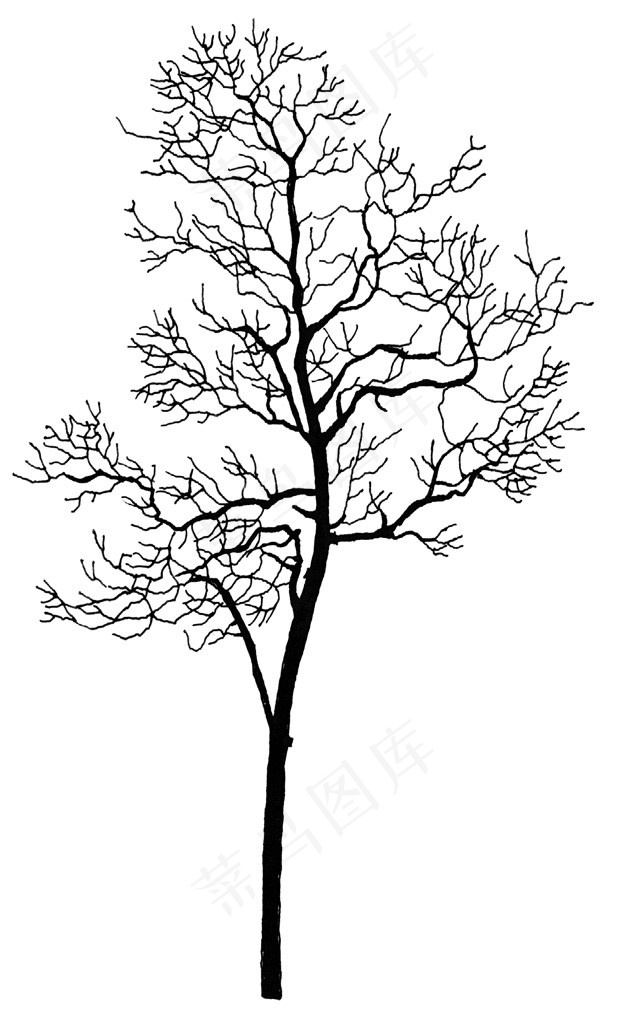 手绘树木设计素材