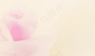 清新粉色花朵背景高清图片