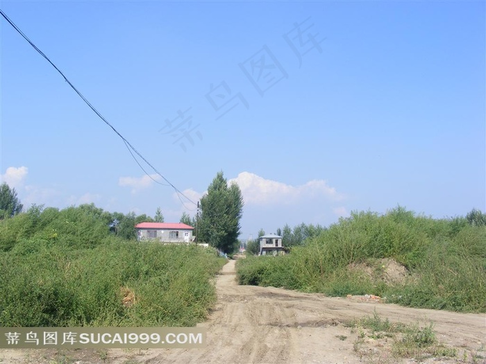 高清农村土路房屋摄影图片