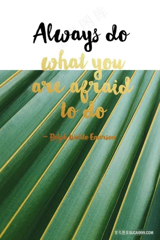 唯美绿叶植物装饰画