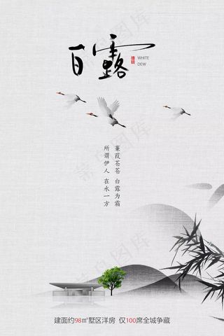 创意中国风白露传统节气海报