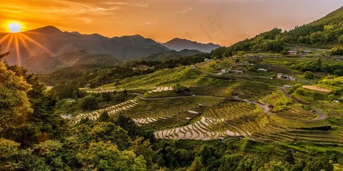 落日下的梯田景观图片