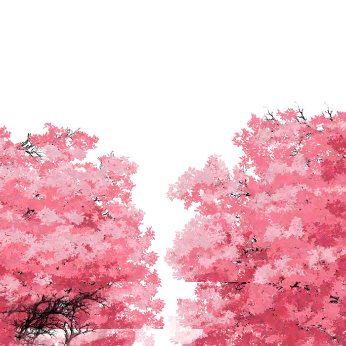 春天浪漫粉红色樱花手绘樱花梅花桃花花朵图片PNG免扣素材