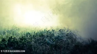 草丛油画风景画壁纸