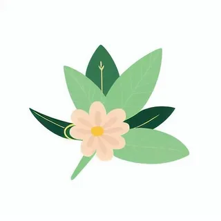 一朵花有绿叶环绕png免抠