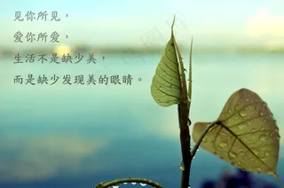 非主流文字控图片