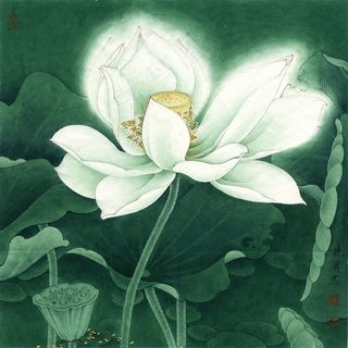 重绘冷艳清华荷花工笔画