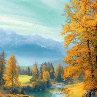 秋天黄色的树叶和草地肃杀的气氛，立秋，秋分