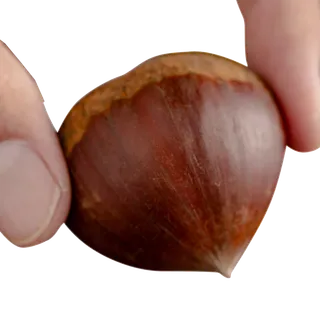 板栗 (3)干果超市商品白底图免抠实物摄影png格式图片透明底