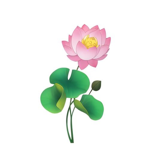 荷花莲花免抠