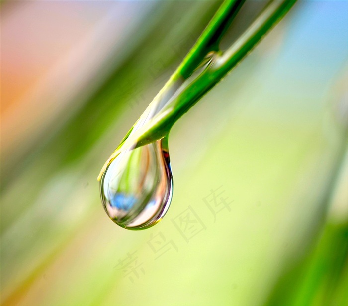 一滴挂上叶子上的水珠图片素材