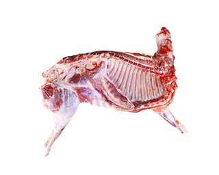 鹌鹑蛋 (超市商品白底图免抠实物摄影png格式图片透明底352