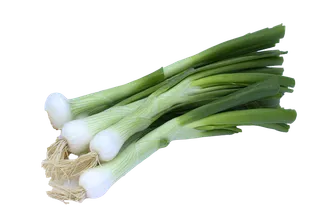 香葱 (7)超市商品白底图免抠实物摄影png格式图片透明底