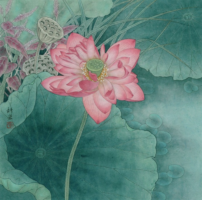 粉装荷花工笔画