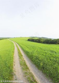 草地天空-草地上的道路