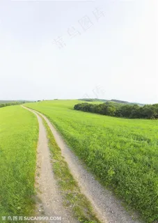 草地天空-草地上的道路 草地天空-草地上的道路