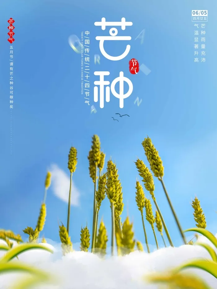 芒种 芒种海报设计psd模版下载