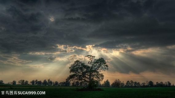 唯美风景画壁纸