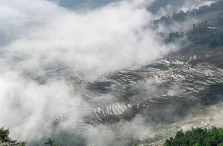 红河撒马坝梯田