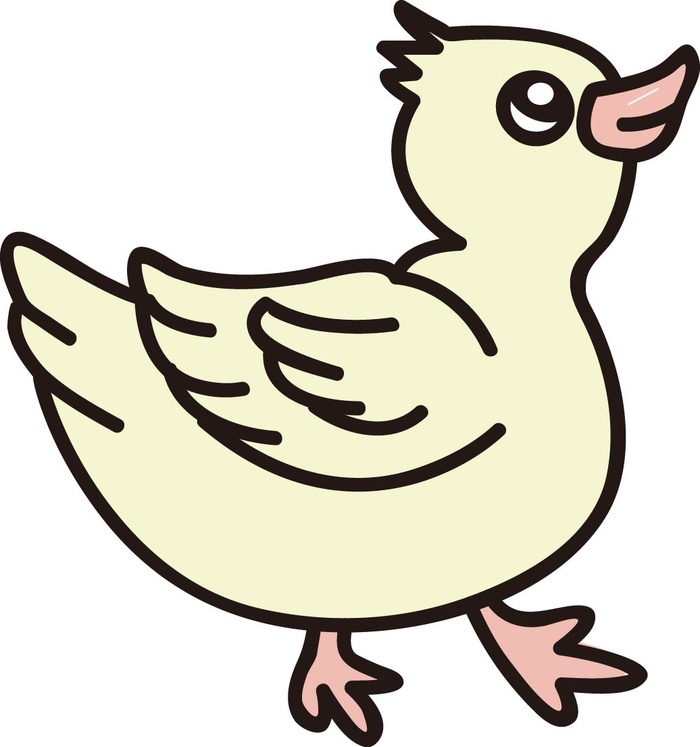 手绘简笔小鸭子