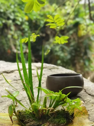 处暑户外山野徒步泡茶解暑