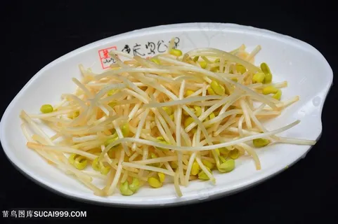 蔬菜豆芽图片 蔬菜豆芽图片