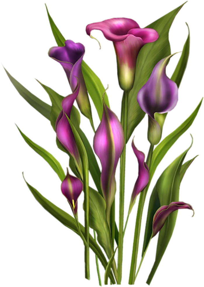 猪笼草卡通简笔绿色谷雨