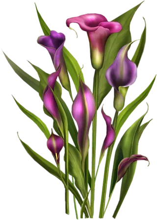 猪笼草卡通简笔绿色谷雨