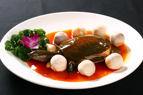 R00501鸡腿菇烧甲鱼 (8)