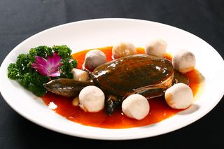 R00501鸡腿菇烧甲鱼 (8)