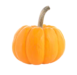 南瓜 (15)超市商品白底图免抠实物摄影png格式图片透明底
