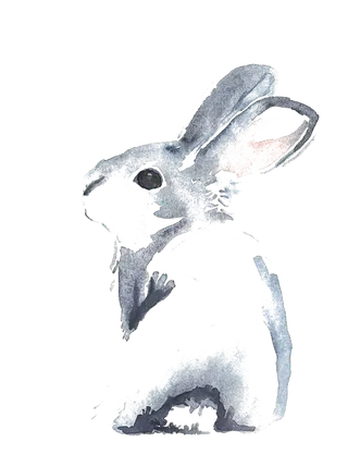 水墨兔子兔年