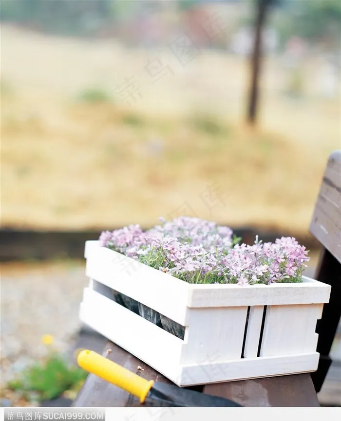 生活用品-花篮中的紫色小花