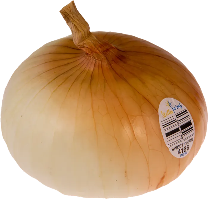 洋葱蔬菜素材种植现代农业