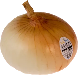 洋葱蔬菜素材种植现代农业