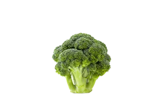 西兰花 (8)超市商品白底图免抠实物摄影png格式图片透明底