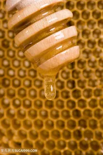 蜂蜜棒与蜂蜜美食高清图片 蜂蜜棒与蜂蜜美食高清图片