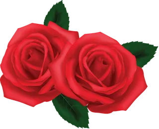 鲜花玫瑰免扣素材