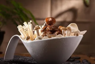 火锅菜品配菜香菇蘑菇杂菌菌类