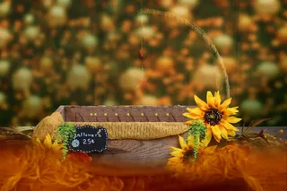 简约现代儿童拍照菊花背景