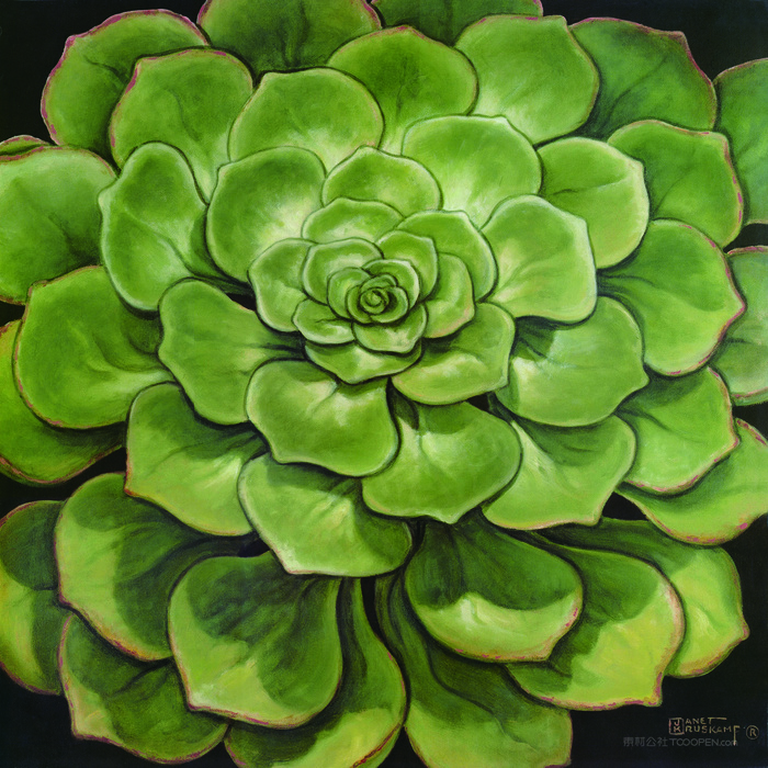 绿色花卉花朵插画