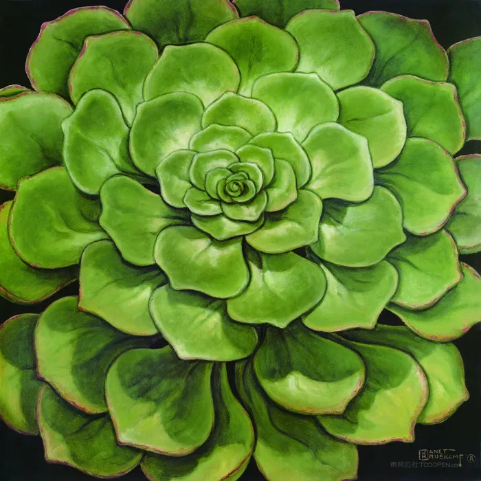 绿色花卉花朵插画