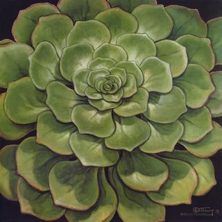 绿色花卉花朵插画