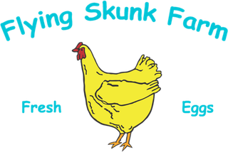 公鸡卡通线条画