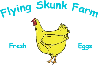 公鸡卡通线条画