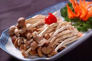 蘑菇香菇金针菇杂菇菌类美食素菜