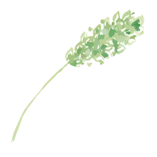 唯美森系手绘水彩花朵 免抠