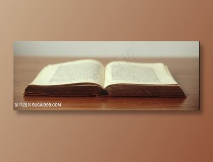 泛黄的打开的书本 泛黄的打开的书本